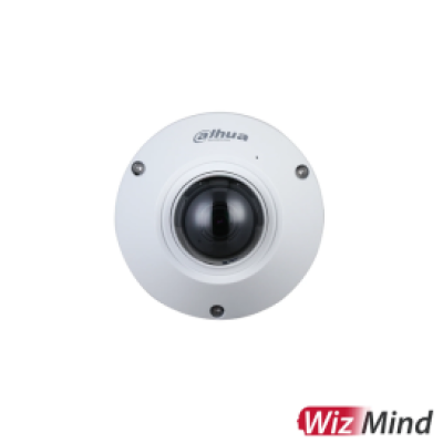 Dahua DH-IPC-EB5541P-AS 5MP FISHEYE CAMERA